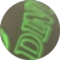 Profile photo of Cozette Thompson