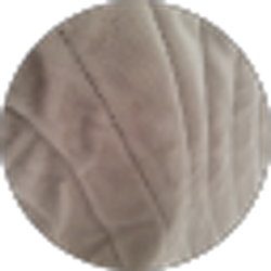 Profile photo of Pedro Vidal