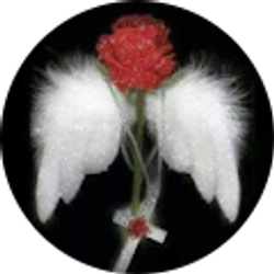 Profile photo of Angela Wickham