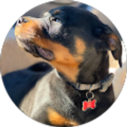 Profile photo of Brandi Lewis