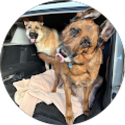 Profile photo of CJ Hood