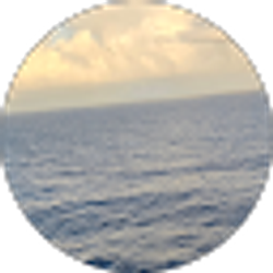 Profile photo of Dawn Mcallister
