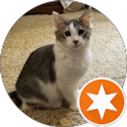 Profile photo of James Mitchell