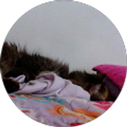 Profile photo of michelle sova