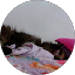 Profile photo of michelle sova