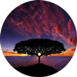 Profile photo of Melissa Woods