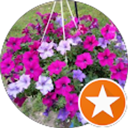 Profile photo of Wheatfree Vda