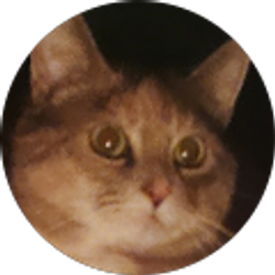 Profile photo of Merosil Bell