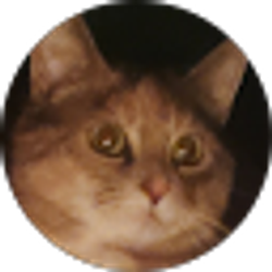Profile photo of Merosil Bell
