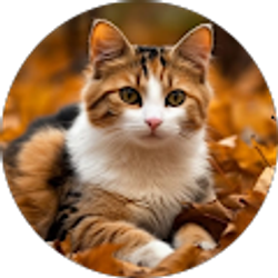 Profile photo of Shadycat2008