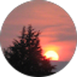 Profile photo of lisa derke