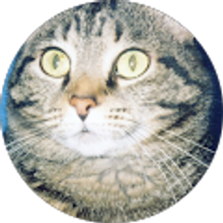 Profile photo of Andrew Van Auken