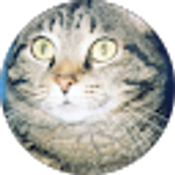 Profile photo of Andrew Van Auken