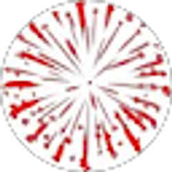 Profile photo of D Romano