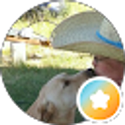 Profile photo of Della Schrock