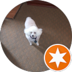 Profile photo of Donna Sullivan