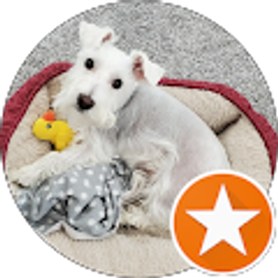 Profile photo of Gabriella G