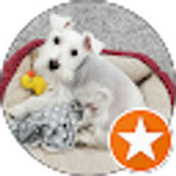 Profile photo of Gabriella C