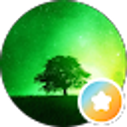 Profile photo of R T