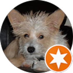 Profile photo of Lisa Kelly