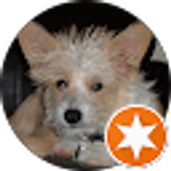 Profile photo of Lisa Kelly