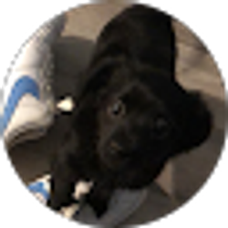 Profile photo of Blake Wenzel