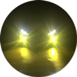 Profile photo of Leon Thomas