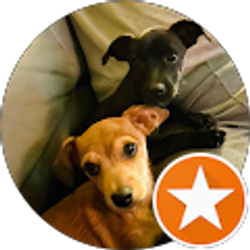 Profile photo of Sarah St John