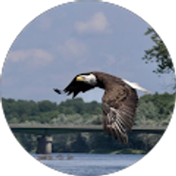 Profile photo of Alan Baute