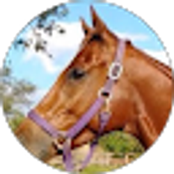 Profile photo of Jorge Alvarez