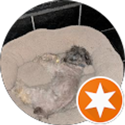 Profile photo of DEBBIE MONNICH-MOBLEY