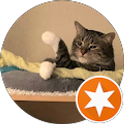 Profile photo of melissa