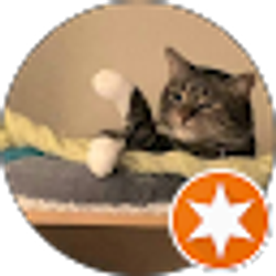 Profile photo of melissa