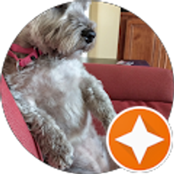 Profile photo of Dan Blackmore