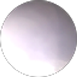 Profile photo of Cortney Benware