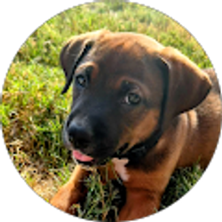 Profile photo of Erica Lane