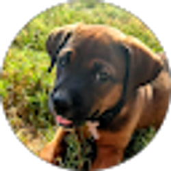 Profile photo of Erica Lane