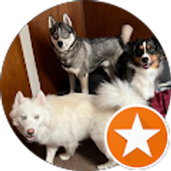 Profile photo of Kon