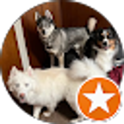 Profile photo of Kon