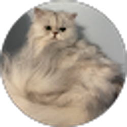 Profile photo of mrtm1957