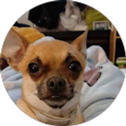 Profile photo of Steven Hammock