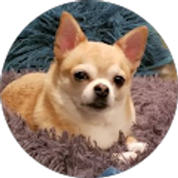 Profile photo of Moon Sun Rief