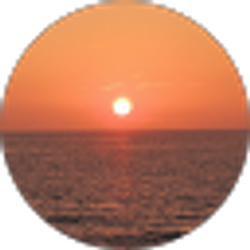 Profile photo of pmp7189