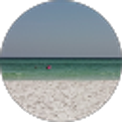 Profile photo of Michelle Burkart