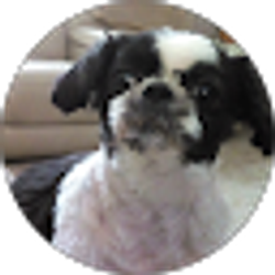Profile photo of Donna Hooper