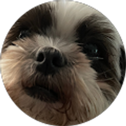 Profile photo of juan cruz
