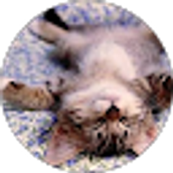 Profile photo of Shannon Bryner