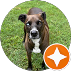 Profile photo of Nancy Ingram