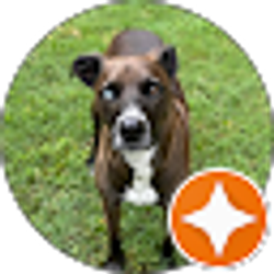 Profile photo of Nancy Ingram