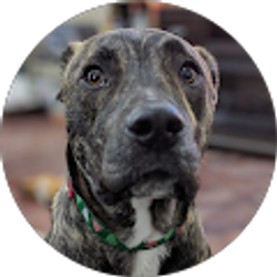 Profile photo of Tyler Matthews